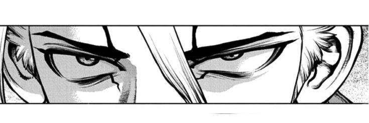 Tedd The Honey Bear banner