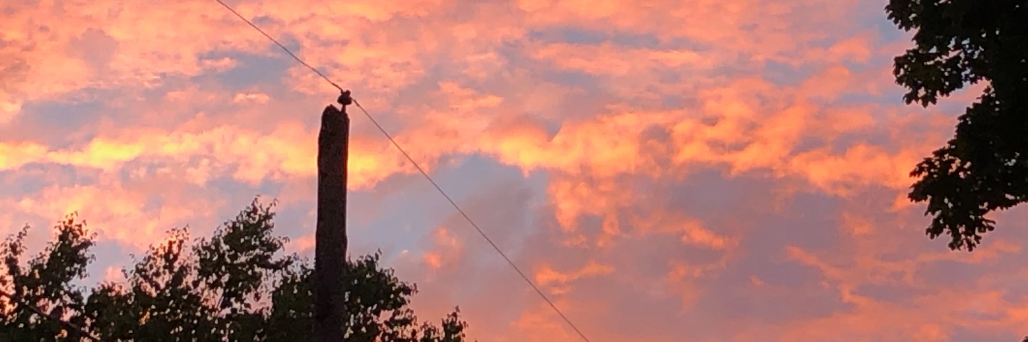 jaslothower's profile banner image