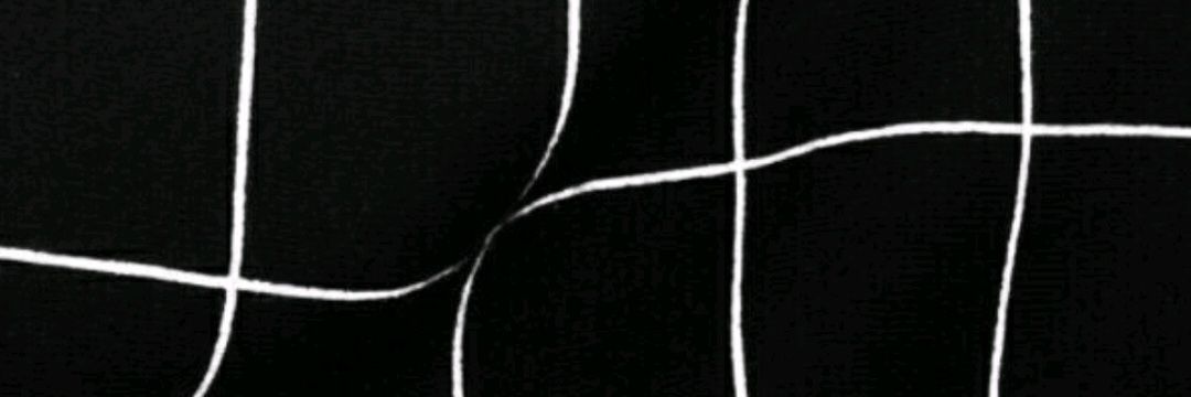 dalisetamaro's profile banner image