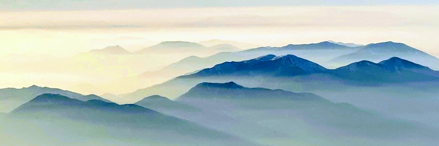 Melanie Gottlieb banner