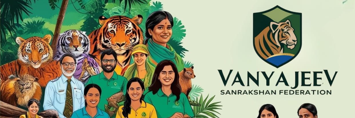 VJSFederation's profile banner image
