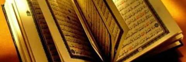 aaa1234567 Profile Banner