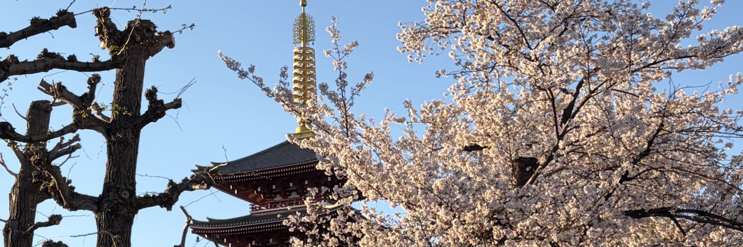 真のどんぐり banner