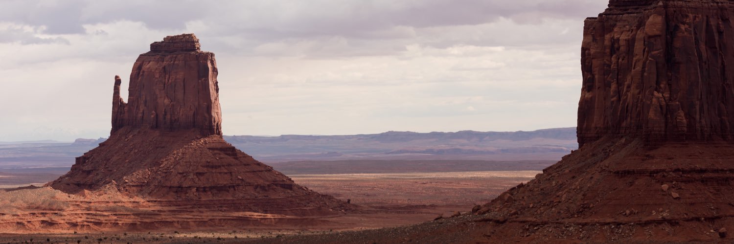 AmyPawpro's profile banner image