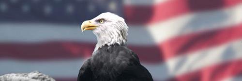 Tom Snyder, Ph.D. banner