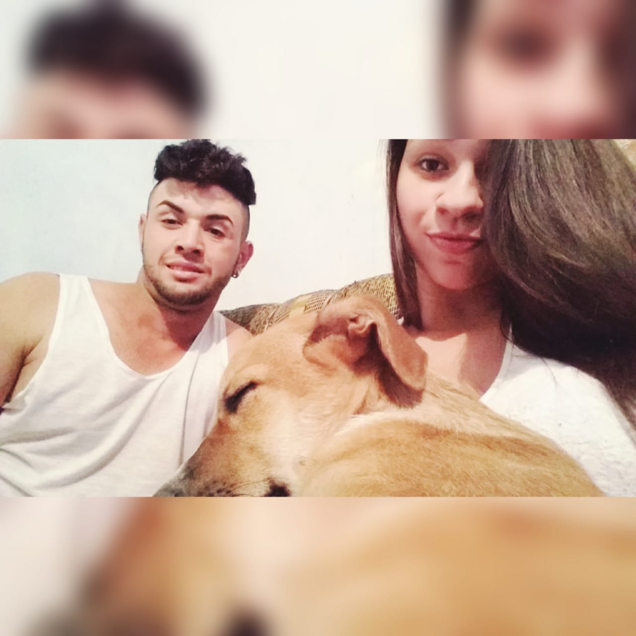 _umaprincesa16's profile banner image