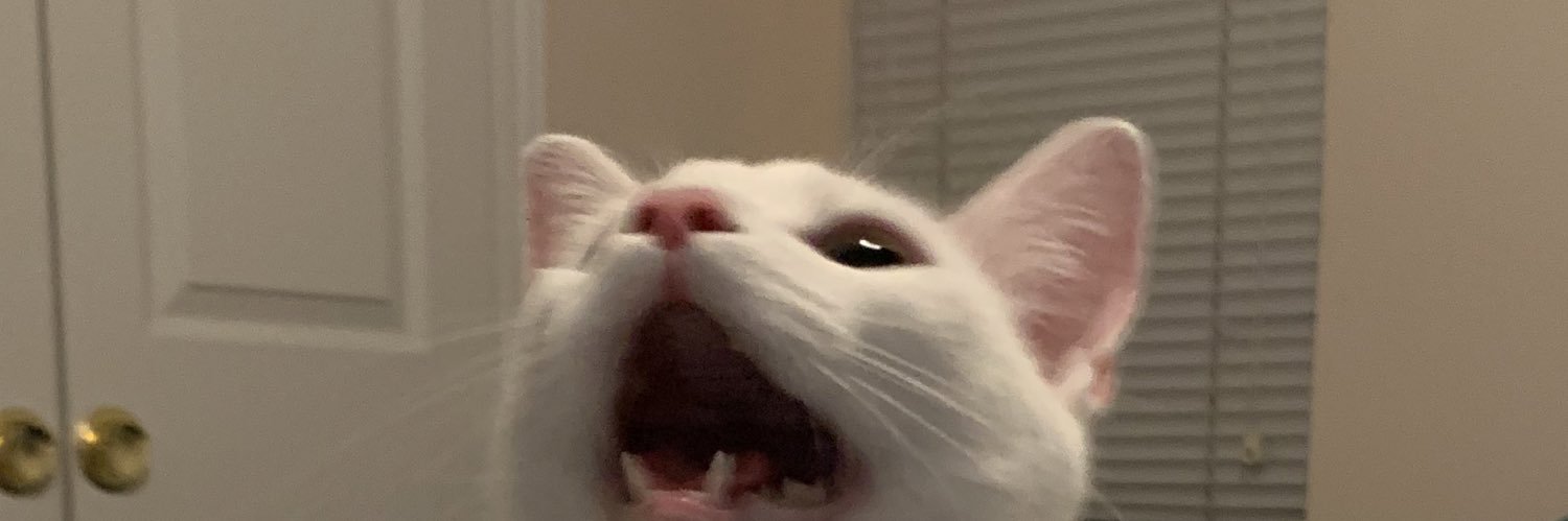 leena banner