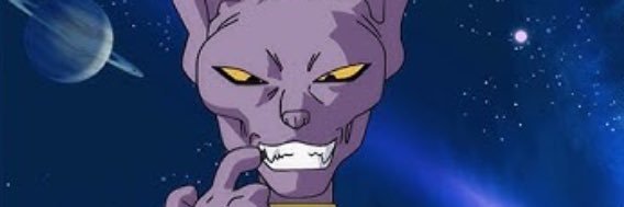 Lord beerus banner
