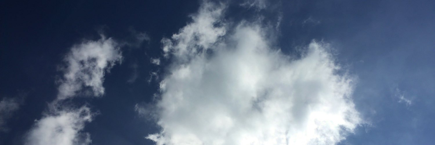 coca_zh's profile banner image