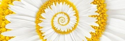 gitmFoundation's profile banner image