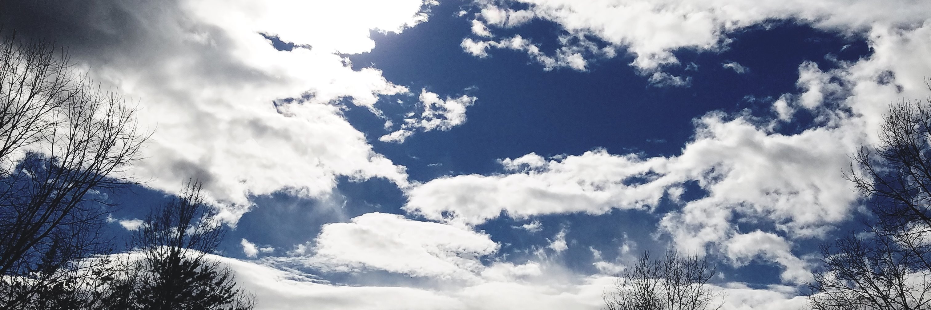 divinekittycat's profile banner image