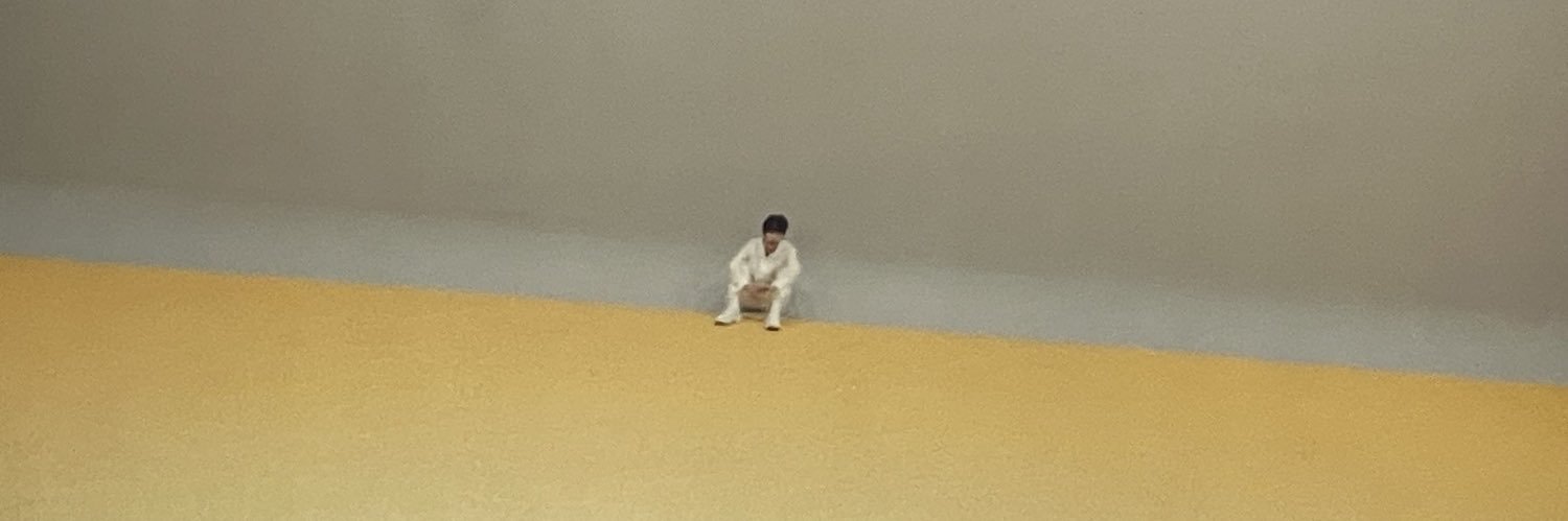 213's banner