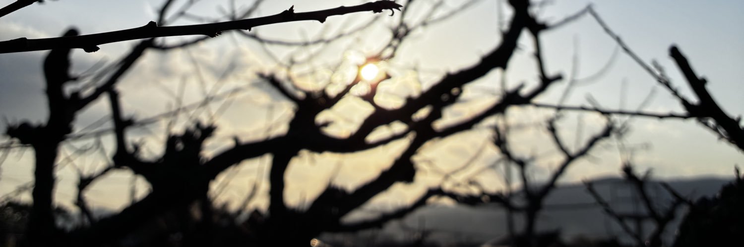 梟焉 banner
