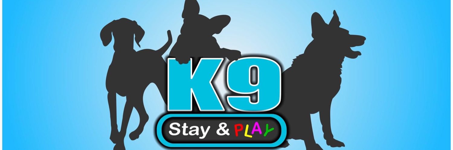 lisasett65's profile banner image