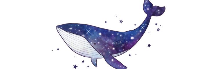 wdy1985's profile banner image