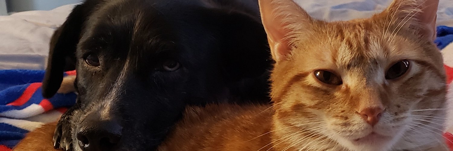 LissaMarie630's profile banner image