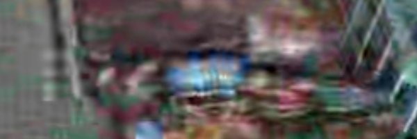 bean_expir79528 Profile Banner