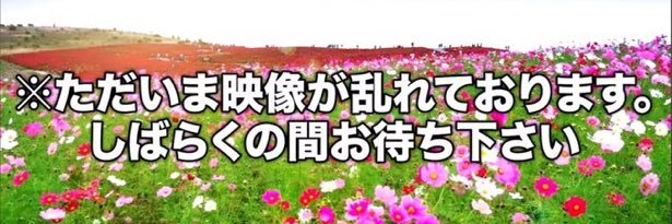 盛り髪したい banner