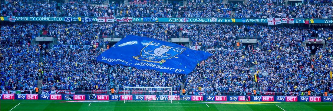 O.Simpson🦉 banner