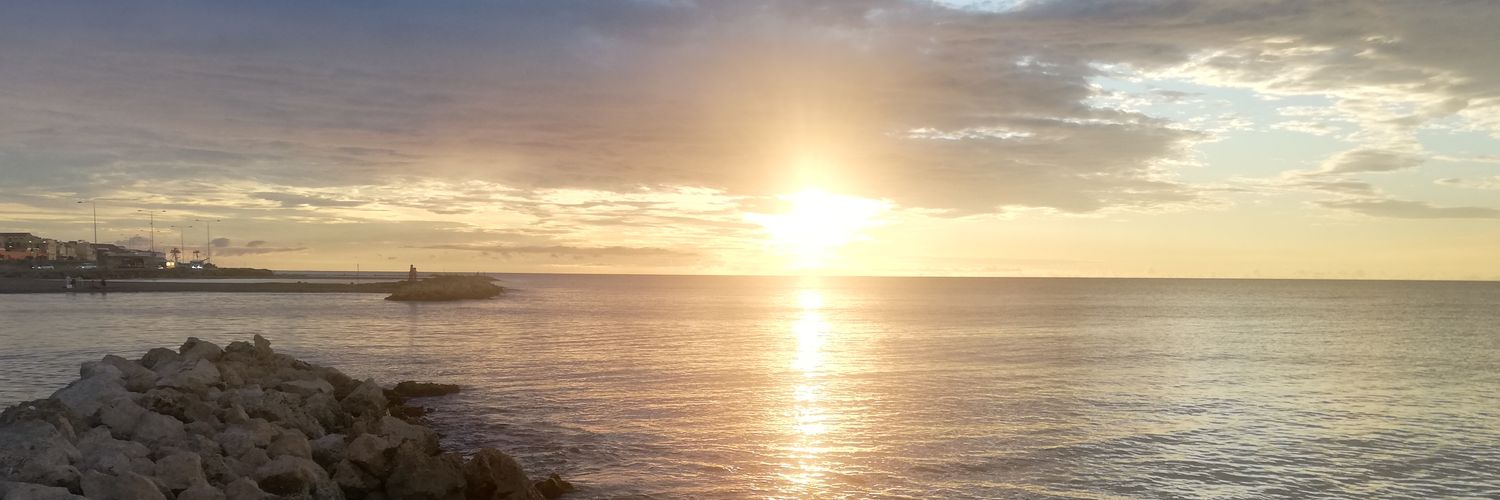 juantreet's profile banner image