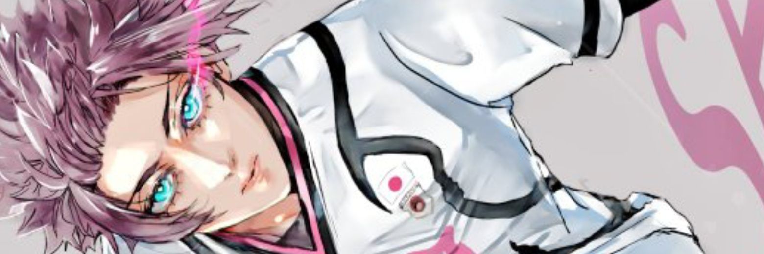 ice's banner