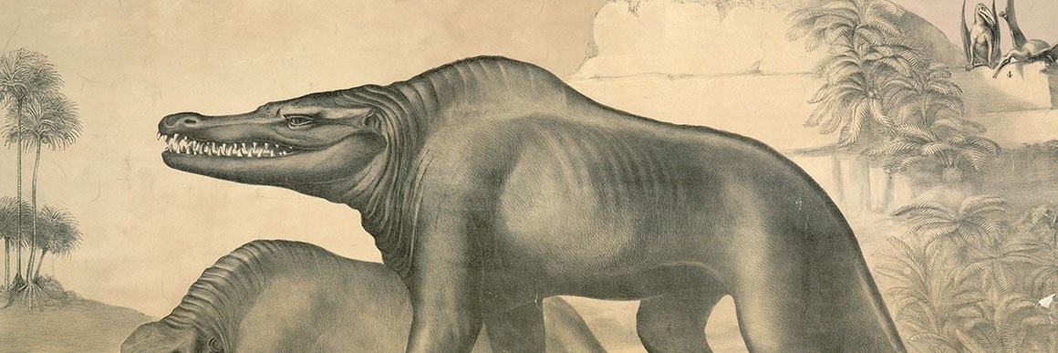 VaranusFatus's profile banner image