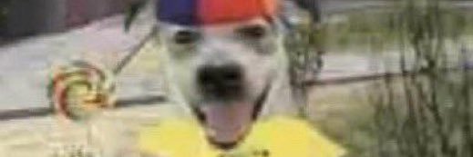 Nickel (SHE/THEY)'s banner