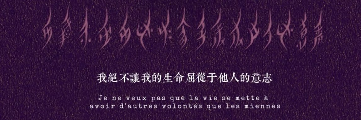 一条赛级小鱼 banner