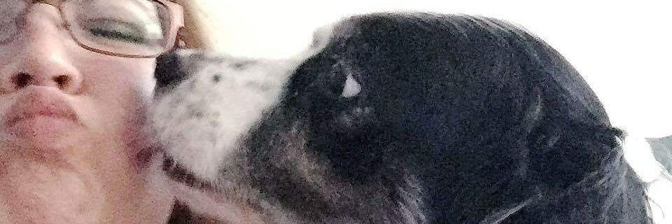 MsSamyk's profile banner image