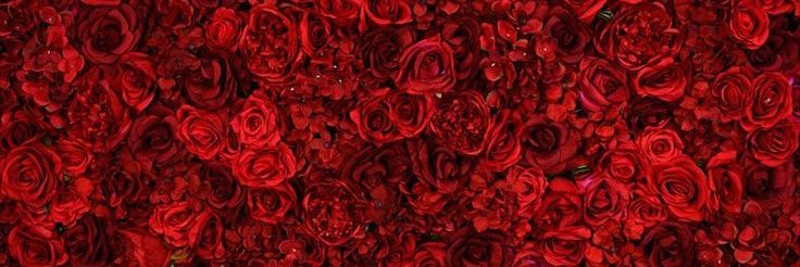 Red velvet 🥀 banner