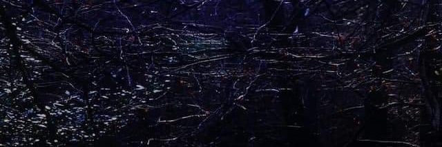 StacieAS29's profile banner image