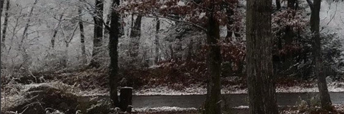 T banner