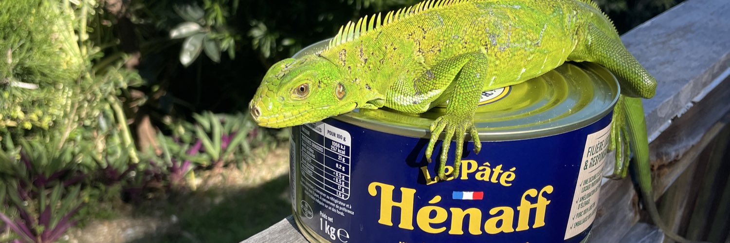 Mulatresse (Solitude) Guadeloupe banner