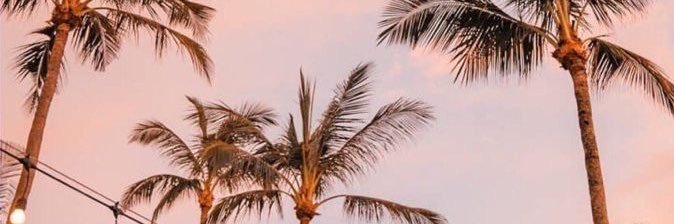 Laura_Ort7's profile banner image