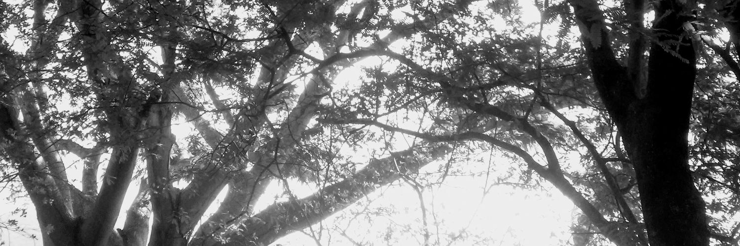 CecyFntz's profile banner image