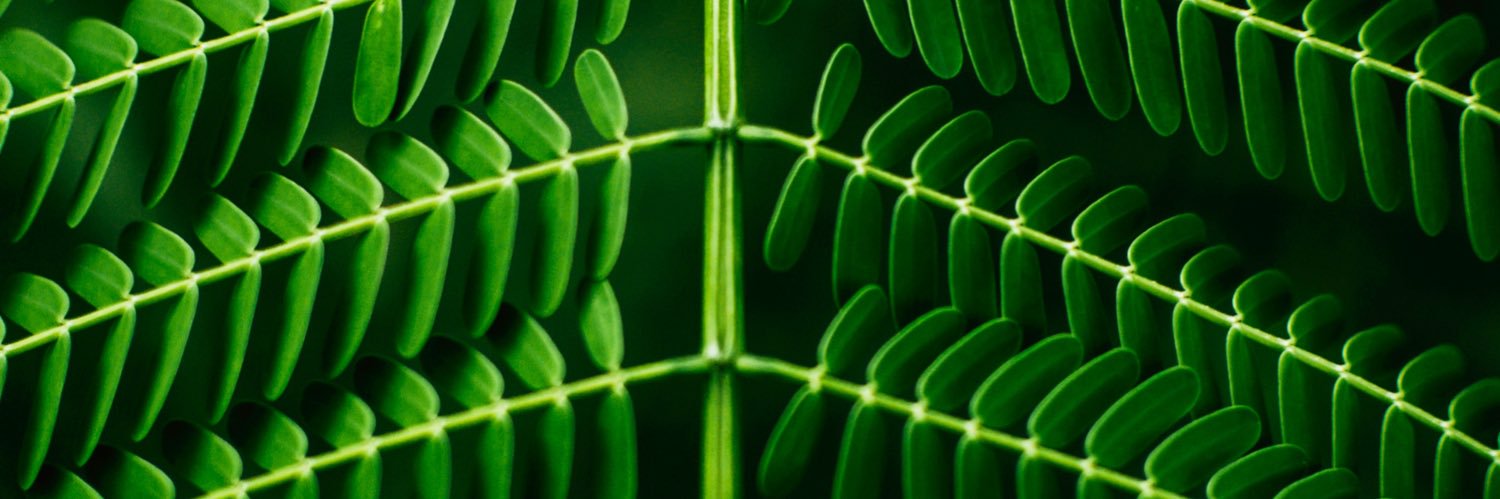 mrseckert's profile banner image