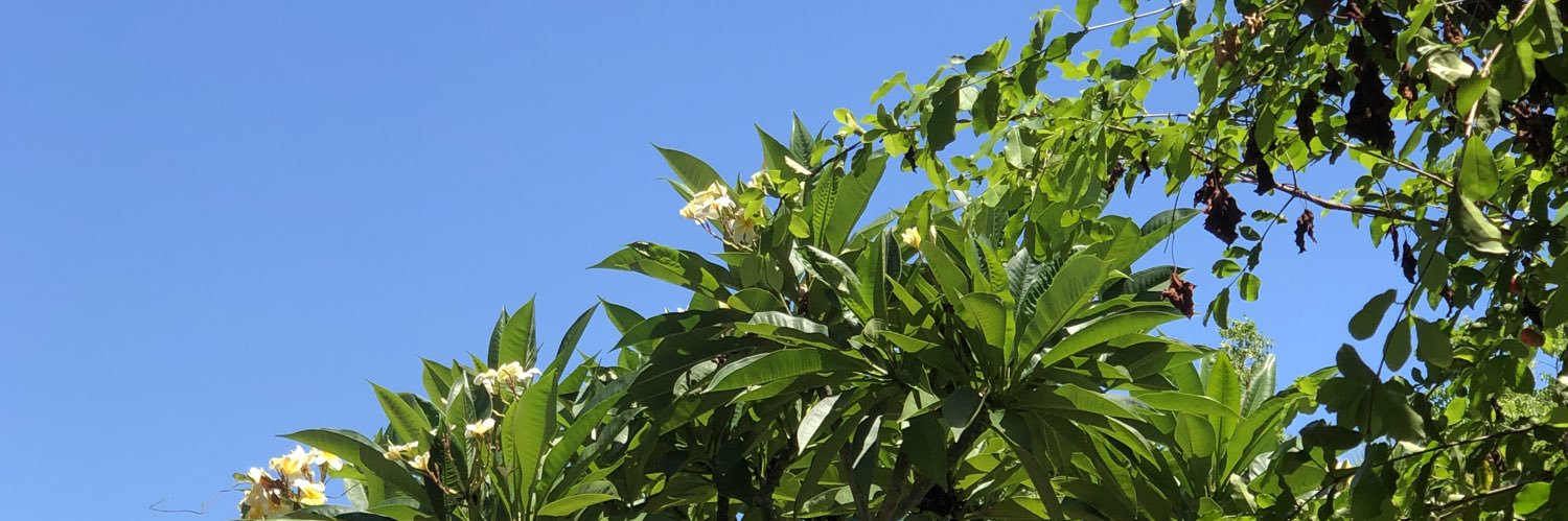 Isacampos81's profile banner image