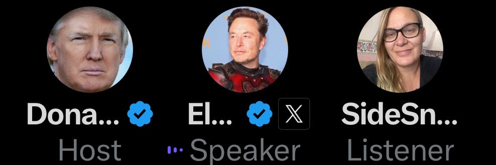 SideSnatchSullivan banner