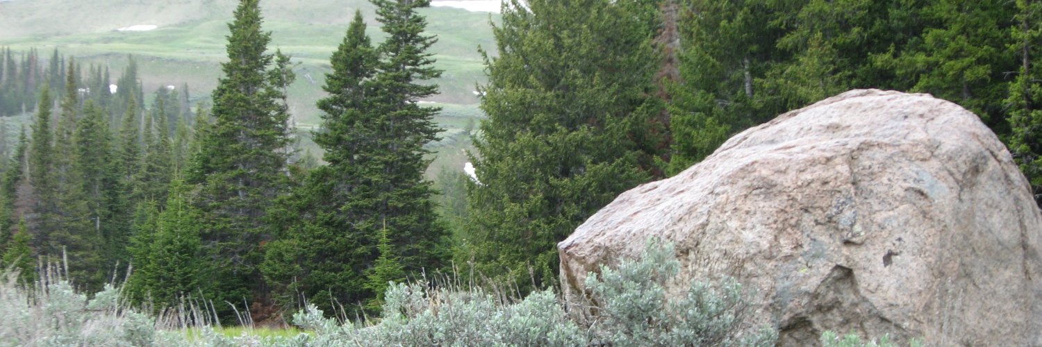 willisaw's profile banner image