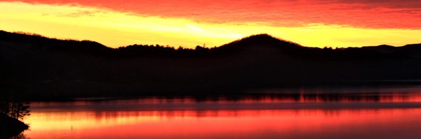 BrandonMoree Profile Banner
