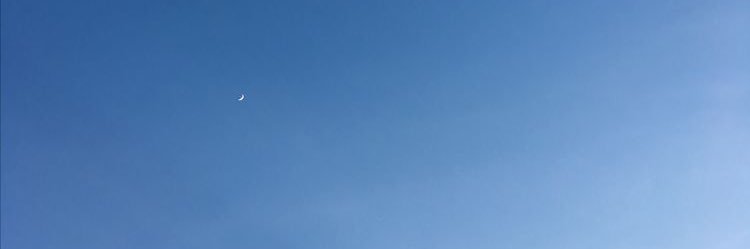 immellenex's profile banner image