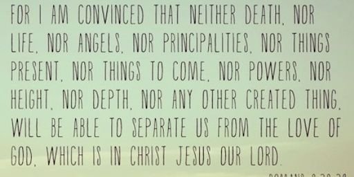 Alexis Nichole Cook banner