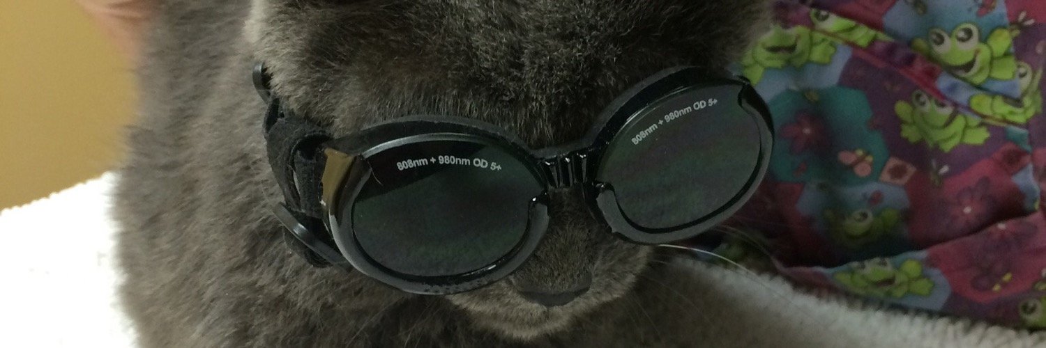 DroBroDog's profile banner image