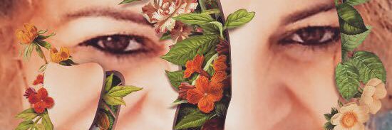 vani_raizes's profile banner image