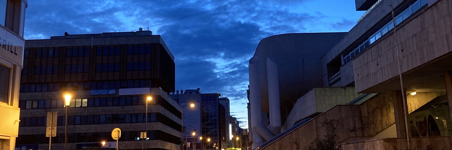 Terezije's profile banner image