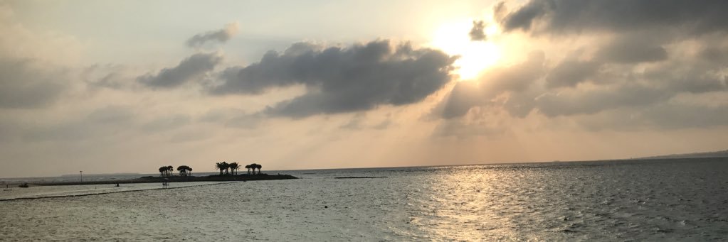 naotaran's profile banner image