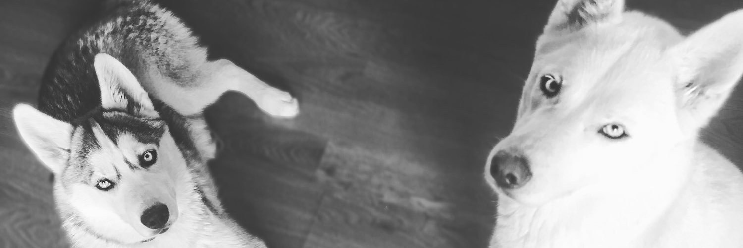 Taurisaurus's profile banner image