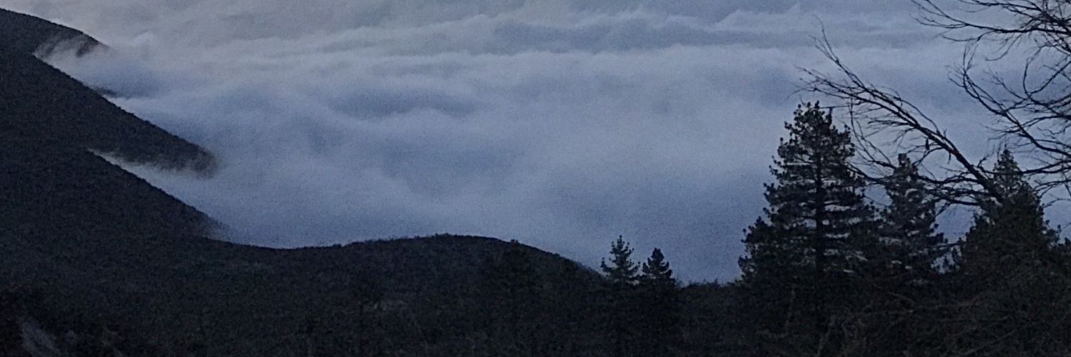 Calm Life banner