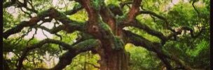 Bevgroom's profile banner image