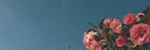 powpiiee's profile banner image